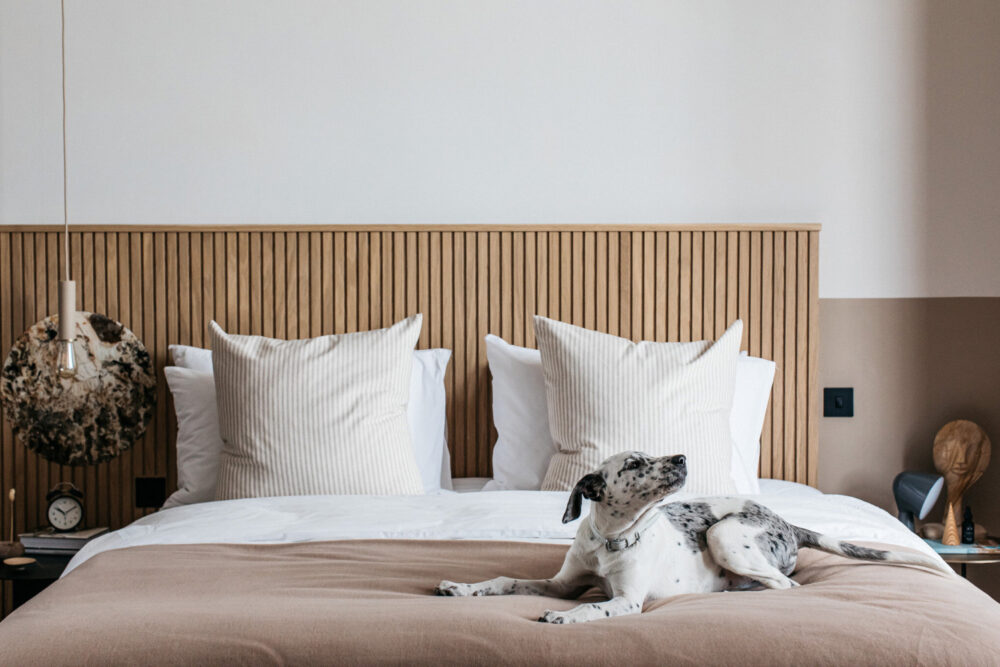 A cosy, sunlit bedroom features a large bed with beige linens and white pillows. To the side, a small round table with two chairs sits by a window with soft curtains. A contemporary lamp hangs above the table, enhancing the inviting atmosphere.