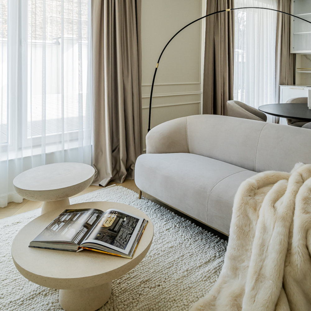 A modern living room showcasing a sofa, a coffee table, and a plush rug for added comfort. Design around the world - parisian style.